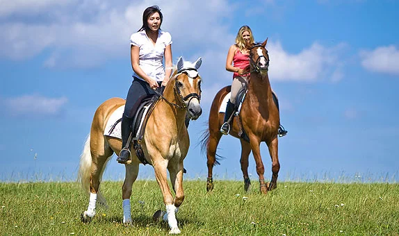 Reiten Reiten
