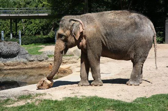 karlsruher zoo karlsruher zoo