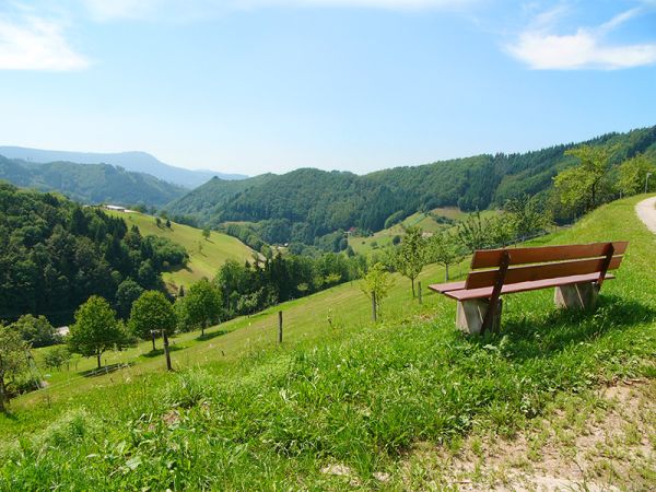 Wandern im Schwarzwald Wandern im Schwarzwald