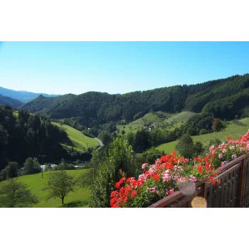 Blick vom Balkon der Ferienwohnung Panoramablick im Scharzwald