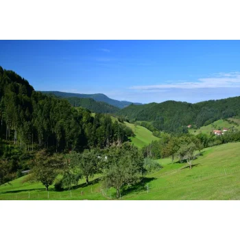 Blick vom Müllerbauernhof ins Tal