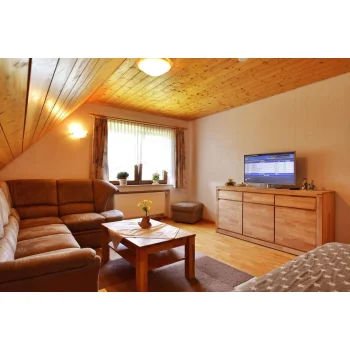 Schwarzwald Ferienwohnung Sternschnuppe Wohnzimmer mit Flachbild-TV