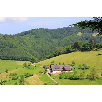 Müllerbauernhof im Schwarzwald - Alleinlage