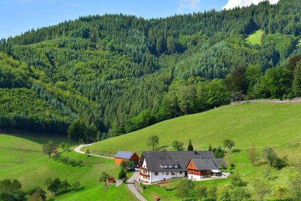 Ferienhaus Müllerbauernhof Schwarzwald Ferienhaus Müllerbauernhof Schwarzwald