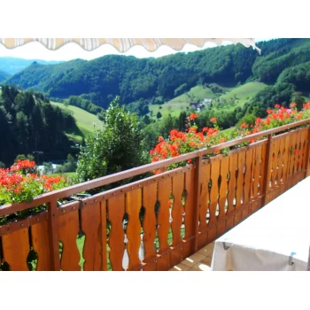 Ausblick Balkon Ferienwohnung Panoramablick Maisach Schwarzwald