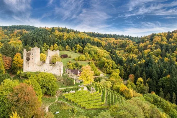 Burg Schauenburg Oberkirch 
