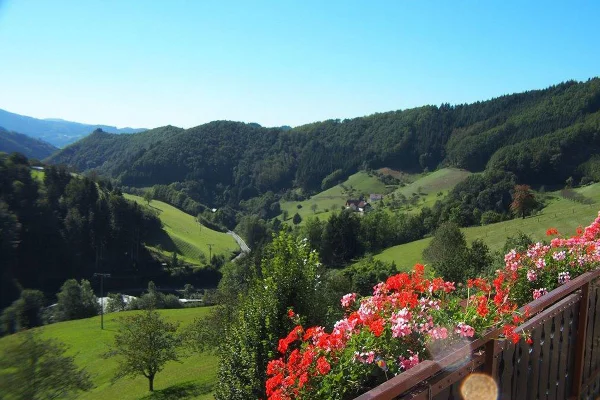 Blick vom Balkon der Ferienwohnung Panoramablick im Scharzwald