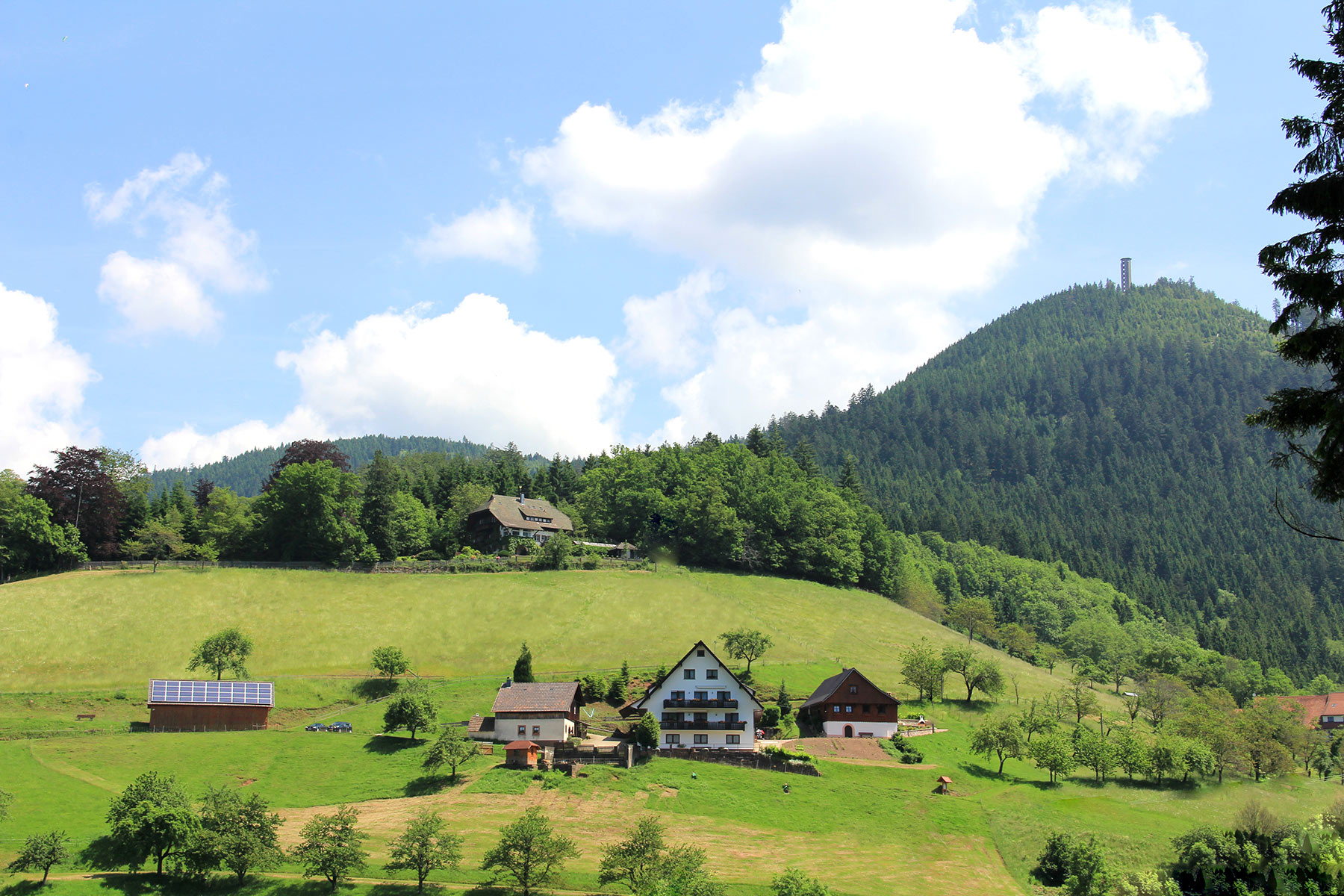 Müllerbauernhof Ferien im Schwarzwald