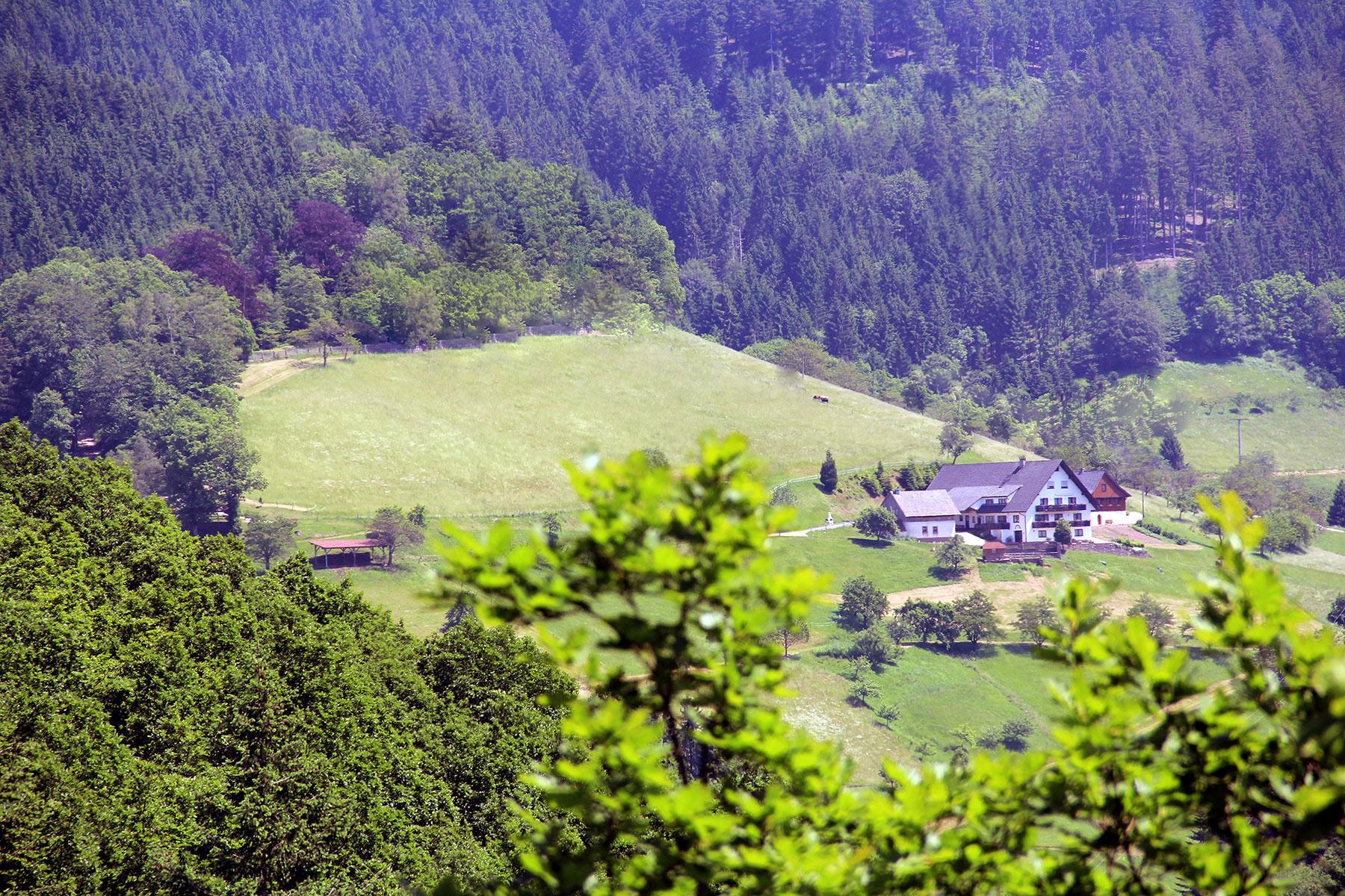 Müllerbauernhof Schwarzwald - Renchtal