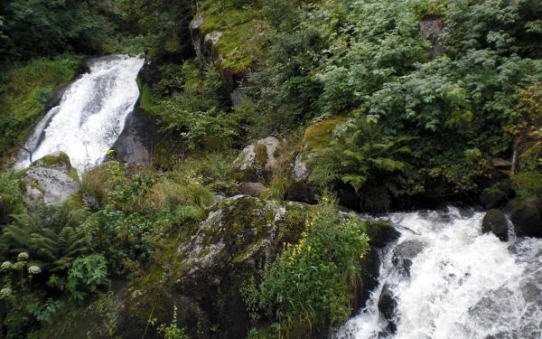 Allerheiligen Wasserfälle Oppenau im Schwarzwald Allerheiligen Wasserfälle Oppenau im Schwarzwald