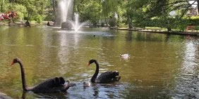 Stadtpark Oberkirch Stadtpark Oberkirch