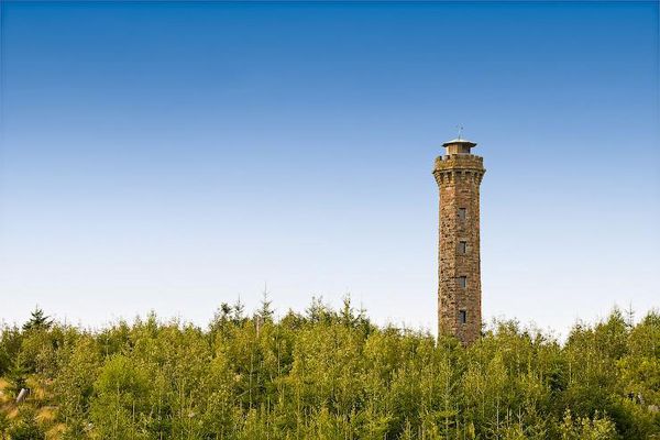 Moosturm Moosturm