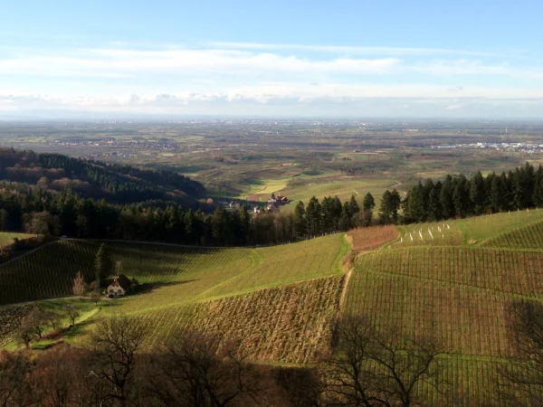 rheinebene Aussicht von Burg Staufenberg