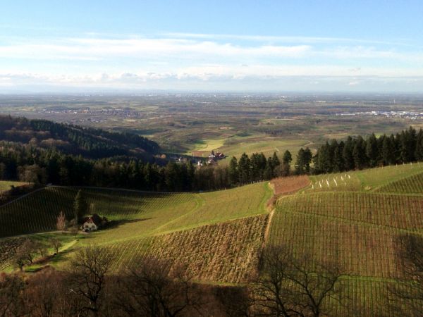rheinebene Aussicht von Burg Staufenberg