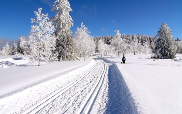 Loipenparadies Zuflucht Loipenparadies Zuflucht