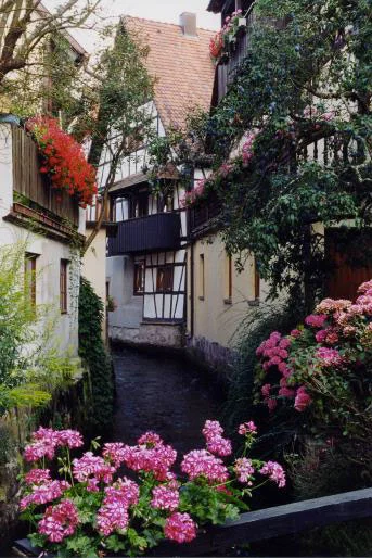 Altstadt Oberkirch