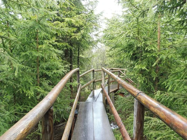 Lotharpfad Natur pur Lotharpfad Natur pur
