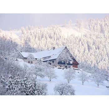 Der Hof im Winter