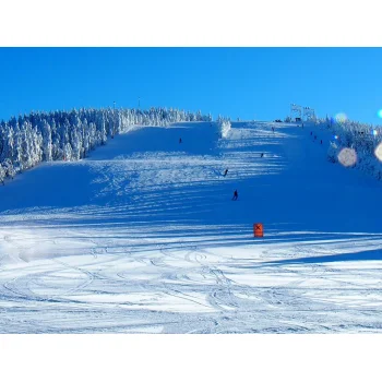 Winter am Seibelseckle