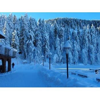 Winter am Seibelseckle